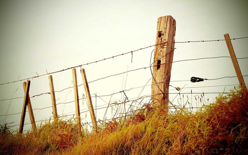 Kenali Hak-Hak Hukum Anda Sebagai Warga Negara